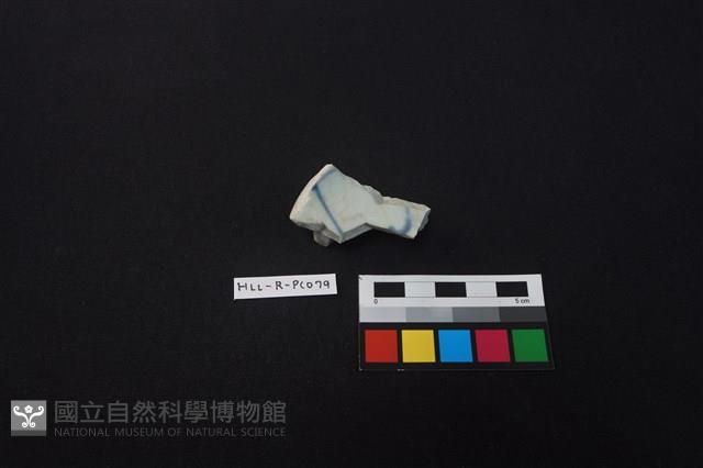 瓷片藏品圖，第1張