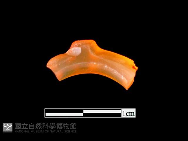 玉髓玦殘件藏品圖，第1張