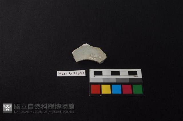 瓷片藏品圖，第1張