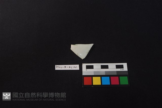 瓷片藏品圖，第1張