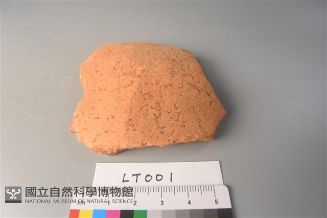 陶片藏品圖，第1張