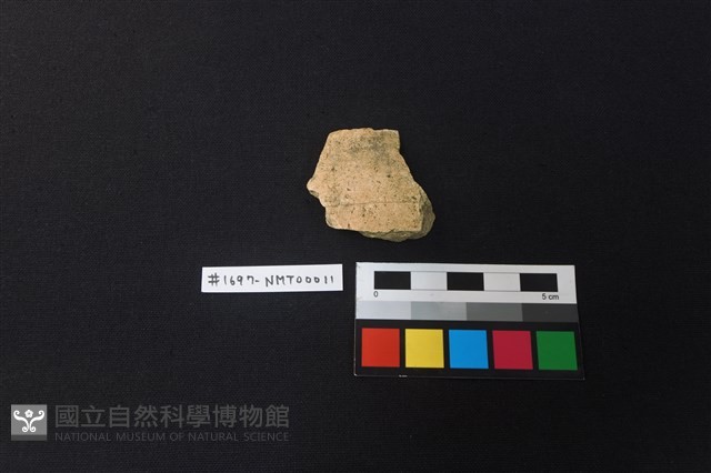 陶片藏品圖，第1張