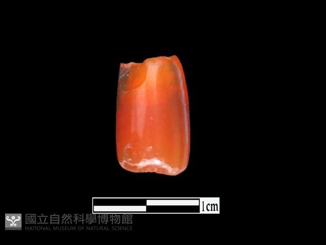 玉髓珠藏品圖，第1張