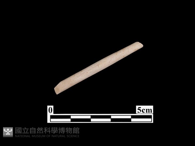 骨器藏品圖，第1張