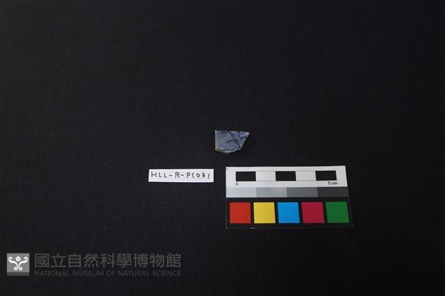 瓷片藏品圖，第1張