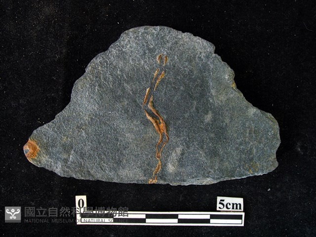 斧鋤形器藏品圖，第1張