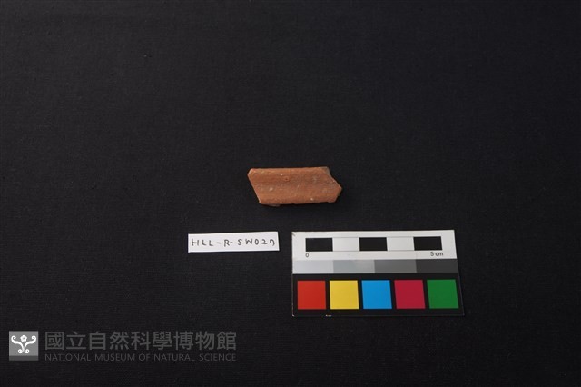 硬陶片藏品圖，第1張