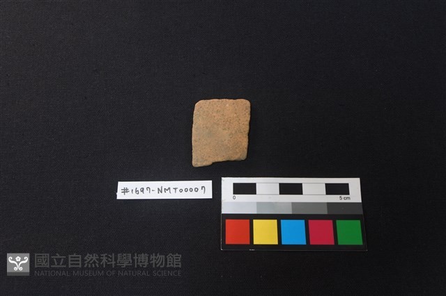 陶片藏品圖，第1張