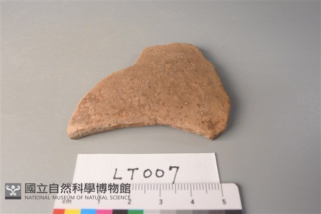 陶片藏品圖，第1張