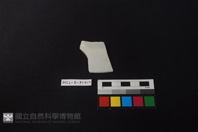 瓷盤藏品圖，第1張