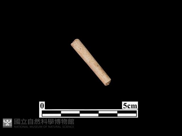 骨器藏品圖，第1張