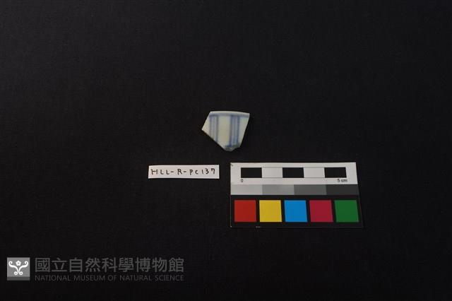 瓷片藏品圖，第1張