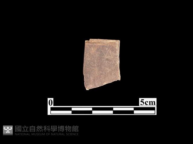 骨器藏品圖，第1張