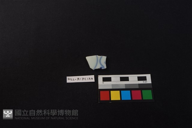 瓷片藏品圖，第1張
