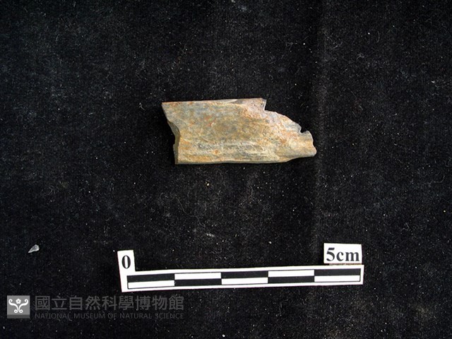 錛鑿形器藏品圖，第1張
