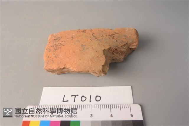 陶片藏品圖，第1張