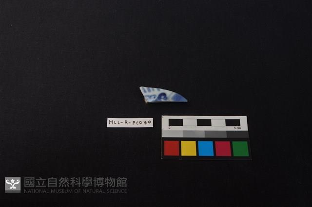 瓷片藏品圖，第1張