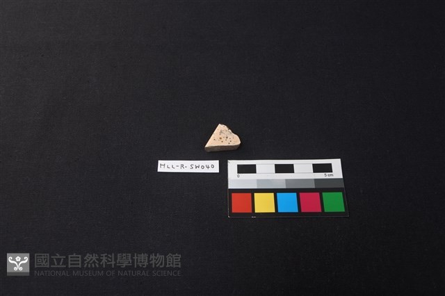 硬陶片藏品圖，第1張