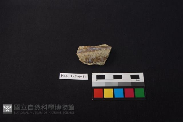 陶缸藏品圖，第1張