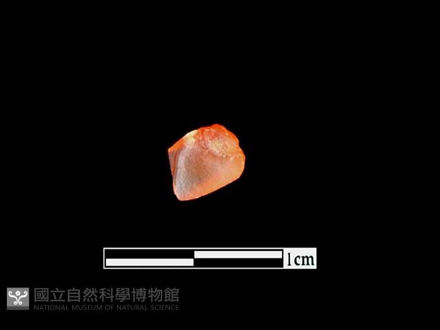 Accession Number:LL-MN065 Collection Image