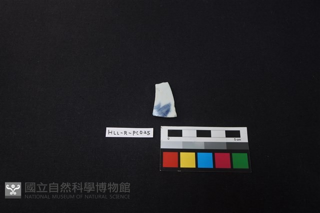 瓷片藏品圖，第1張
