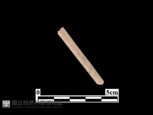 骨器藏品圖，第1張