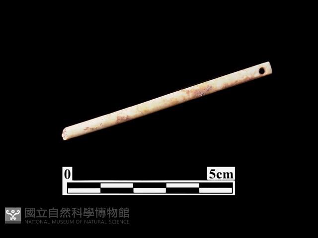 骨器藏品圖，第1張