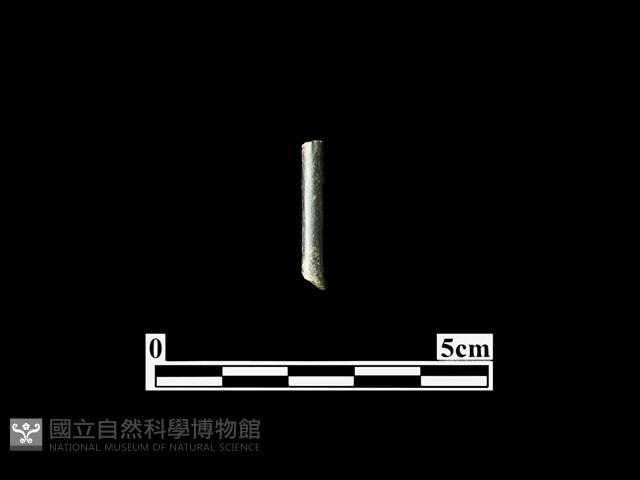 骨器藏品圖，第1張