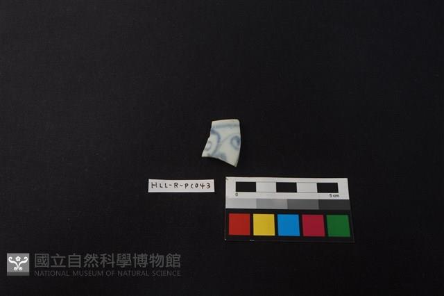 瓷片藏品圖，第1張