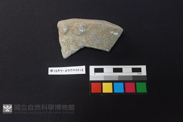 陶片藏品圖，第1張