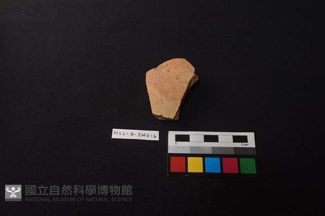 硬陶片藏品圖，第1張