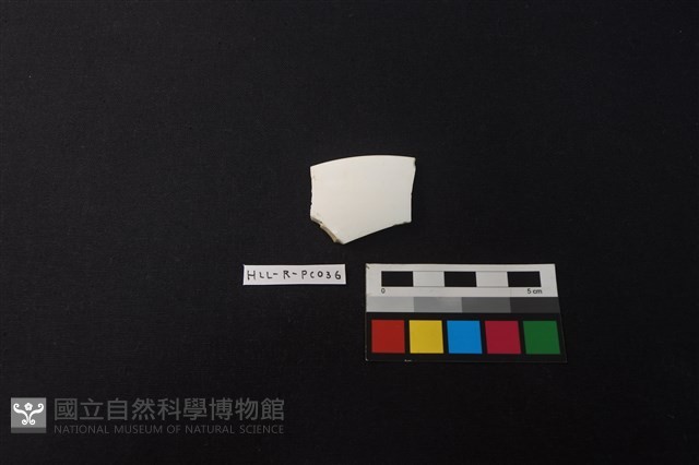 瓷片藏品圖，第1張