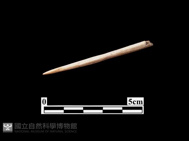 骨針藏品圖，第1張