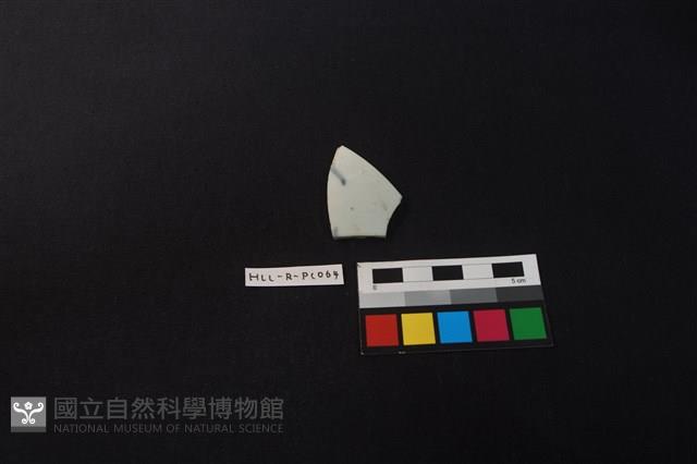 瓷片藏品圖，第1張