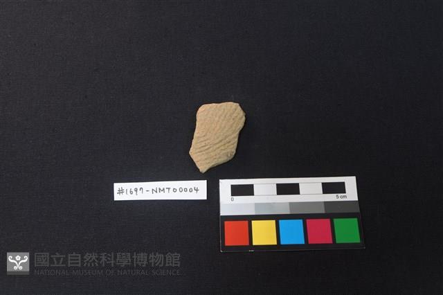 陶片藏品圖，第1張