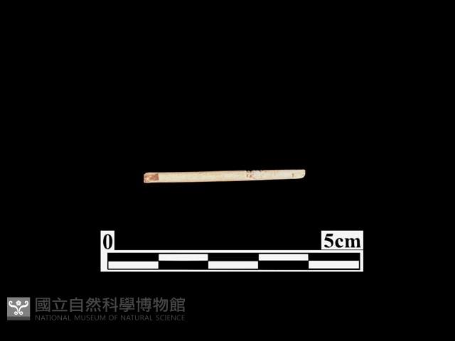 骨器藏品圖，第1張