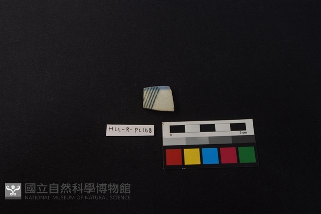 瓷片藏品圖，第1張