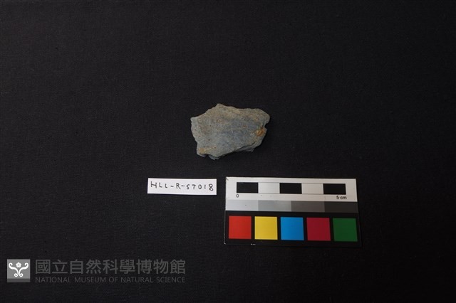 石材藏品圖，第1張