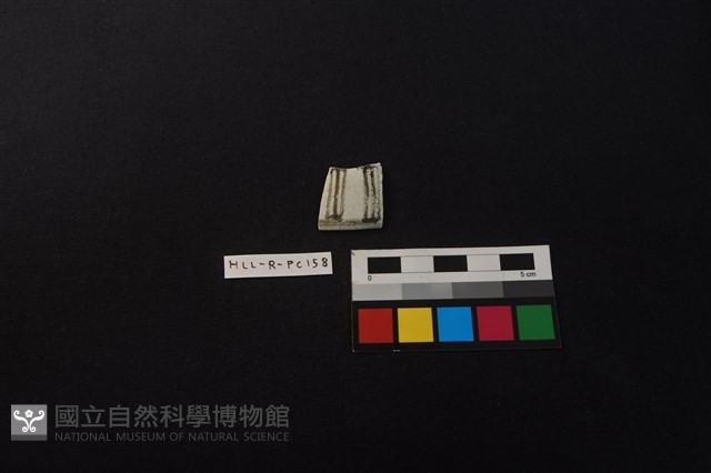 瓷片藏品圖，第1張