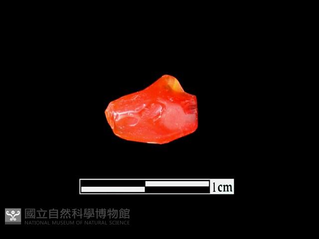 玉髓珠藏品圖，第1張