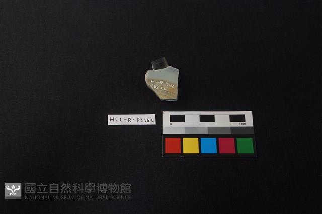 瓷片藏品圖，第1張