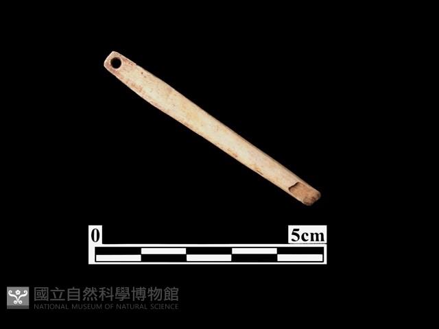 骨針藏品圖，第1張