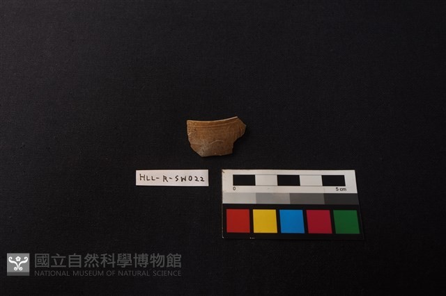 硬陶片藏品圖，第1張