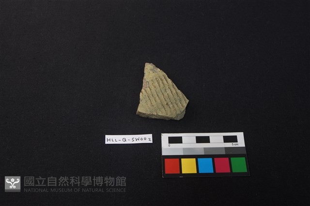 硬陶罐藏品圖，第1張