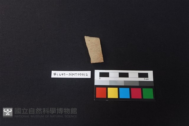 陶片藏品圖，第1張