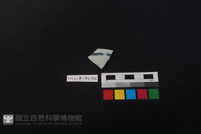 瓷片藏品圖，第1張