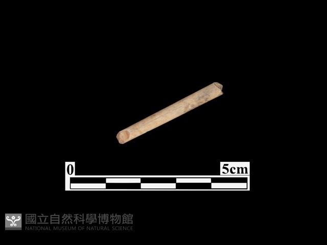 骨器藏品圖，第1張