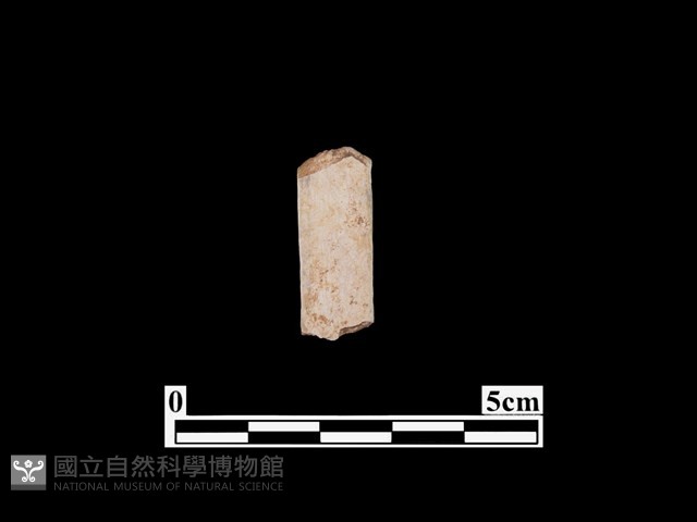 骨器藏品圖，第1張