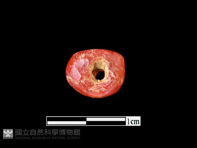 玉髓珠藏品圖，第4張