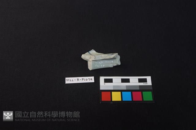 瓷片藏品圖，第4張